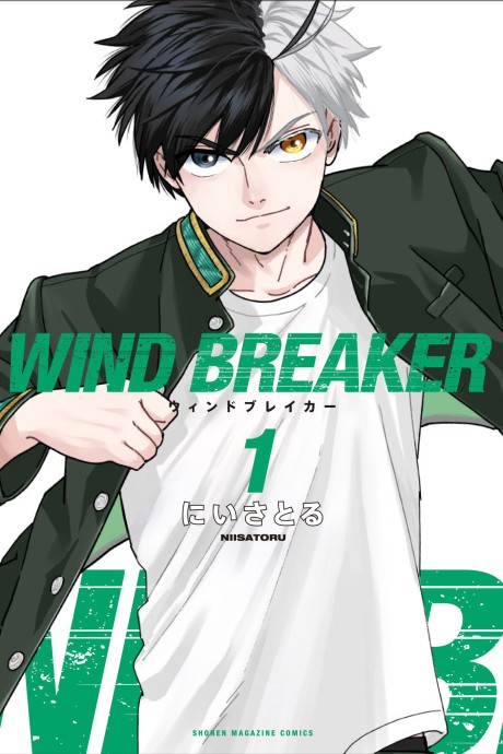 Wind Breaker (Nii Satoru) ES Cover Image